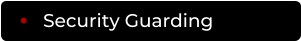 Security Guarding