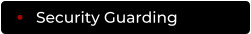 Security Guarding