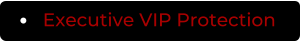 Executive VIP Protection
