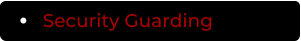 Security Guarding
