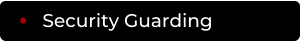 Security Guarding