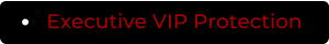 Executive VIP Protection