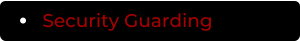 Security Guarding