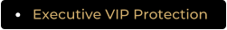 Executive VIP Protection
