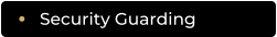Security Guarding
