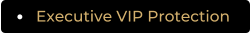 Executive VIP Protection