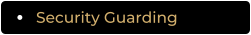 Security Guarding